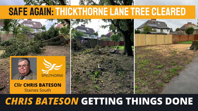 Tree cleared in Thickthorne Road, Staines