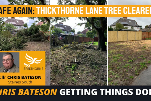 Tree cleared in Thickthorne Road, Staines