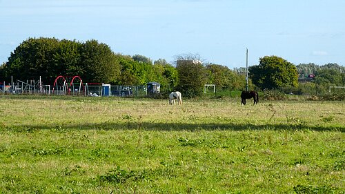 Running Horses