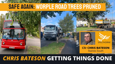 Surveying and pruning tress in Worple Road, Staines