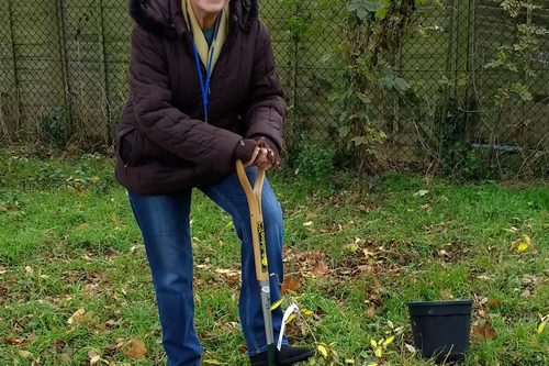 Sandra Dunn planting Cedar's Rec