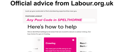 Labour give up in Spelthorne