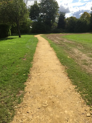 Cedar's rec path